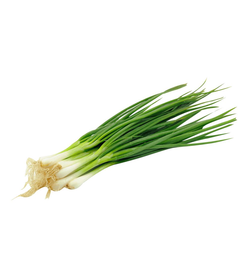 Download PNG image - Spring onions PNG Picture 