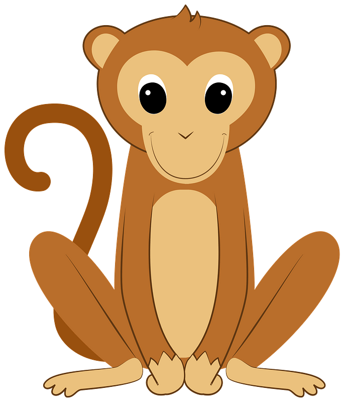 Download PNG image - Animal Monkey PNG Isolated Image 