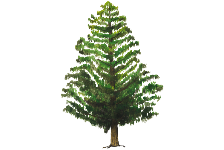 Download PNG image - Artificial Tree PNG Transparent Image 
