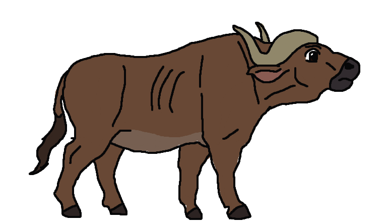 Download PNG image - Cape Buffalo PNG Pic 