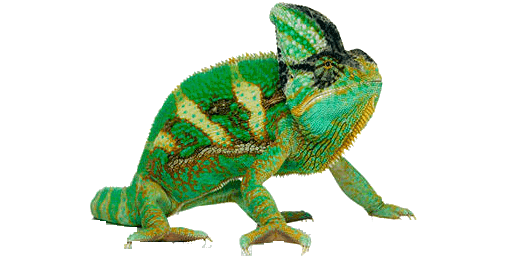 Download PNG image - Chameleon PNG Transparent Picture 