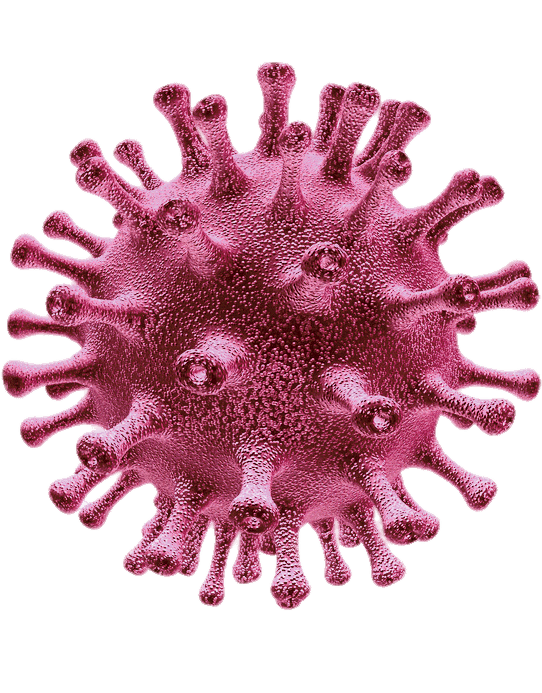 Download PNG image - Coronavirus Disease PNG HD 
