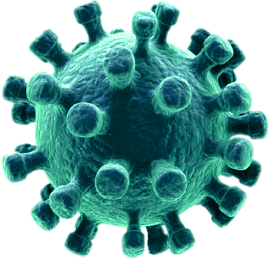 Download PNG image - Coronavirus Disease PNG Image 