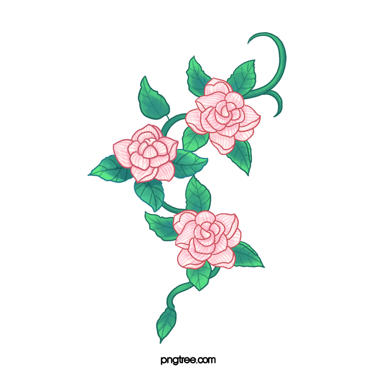 Download PNG image - Drawing Of Flowers PNG Picture 