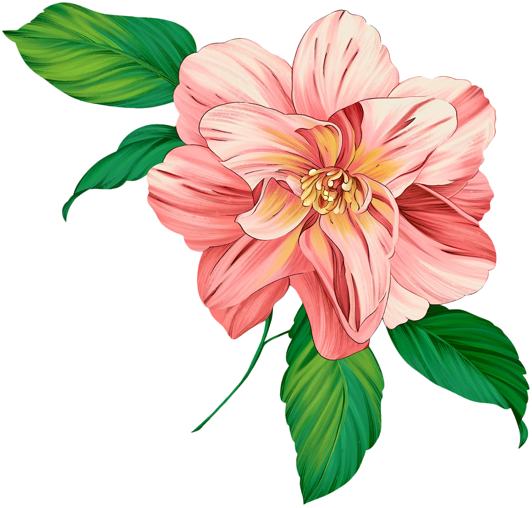 Download PNG image - Flower Artwork PNG Transparent Image 