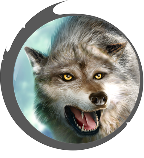 Download PNG image - Grey Wolf PNG HD 