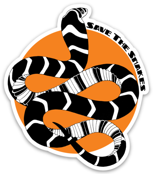 Download PNG image - Kingsnakes PNG HD Isolated 