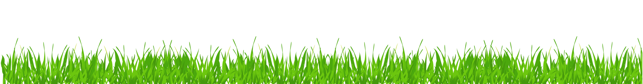 Download PNG image - Lawn Grass Download PNG Image 