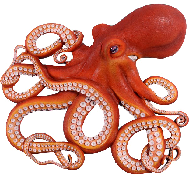 Download PNG image - Octopuse PNG Transparent 