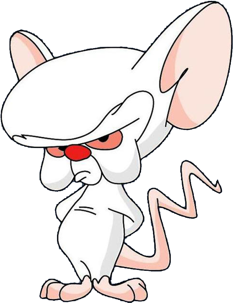 Download PNG image - Pinky And The Brain PNG Isolated File 