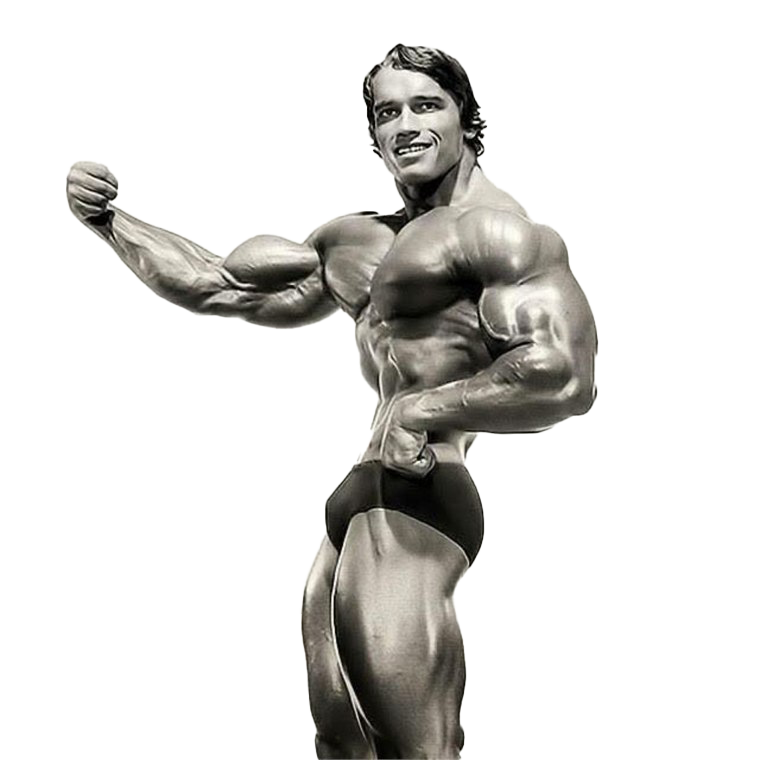 Download PNG image - Arnold Schwarzenegger PNG Isolated File 