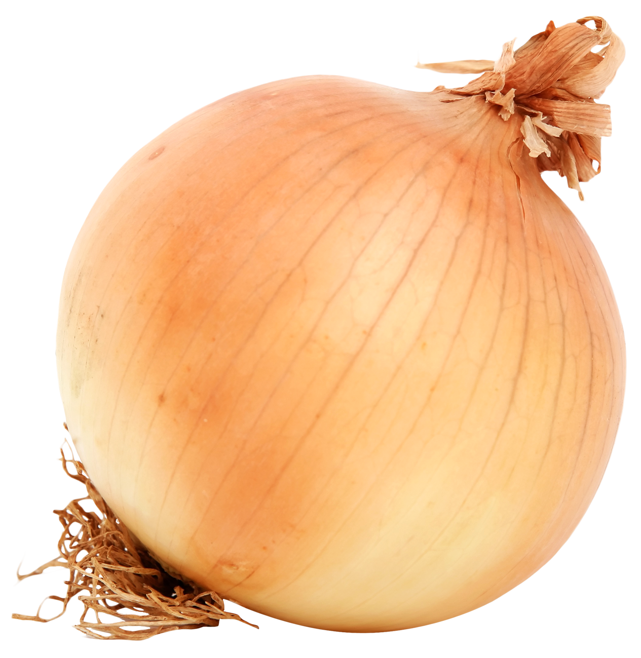 Download PNG image - Brown Onion Transparent PNG 