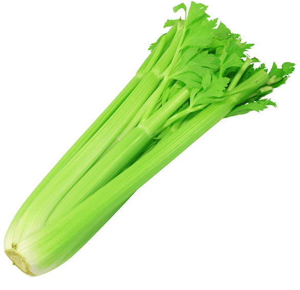 Download PNG image - Fresh Green Celery PNG File 