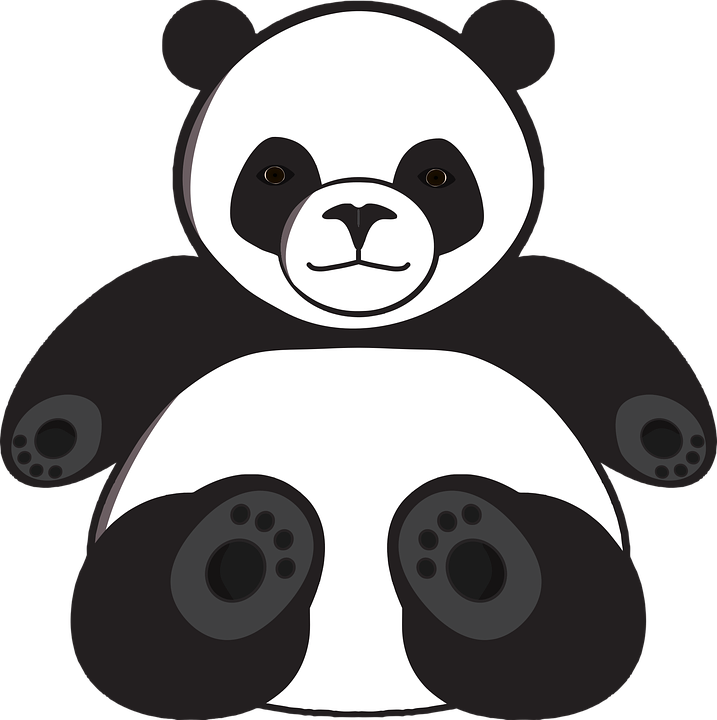 Download PNG image - Giant Pandas PNG Image 