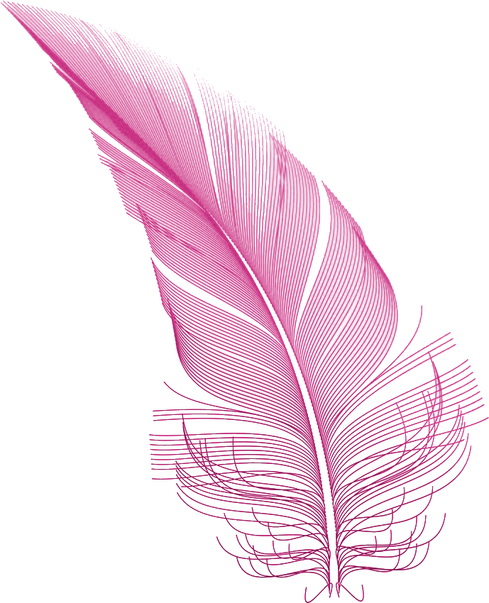 Download PNG image - Pink Feather PNG HD 