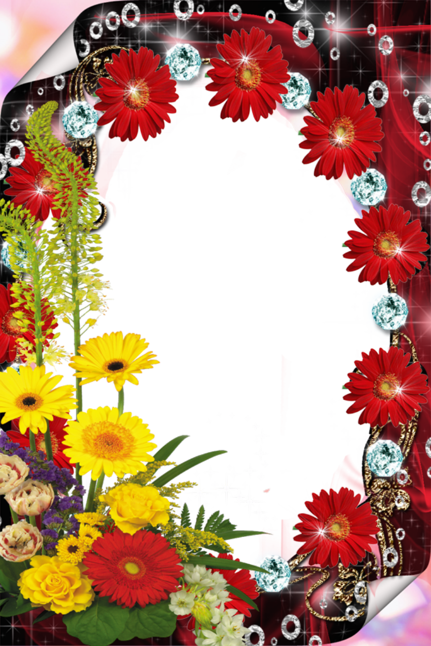 Download PNG image - Red Flower Frame PNG File 