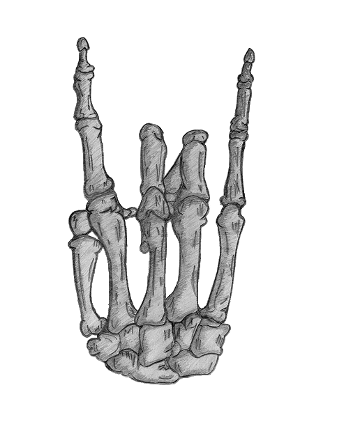 Download PNG image - Skeleton Hand Drawing PNG HD 