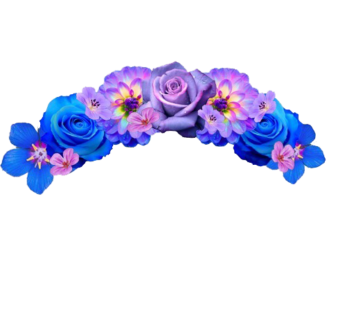 Download PNG image - Snapchat Flower Crown Transparent Background 