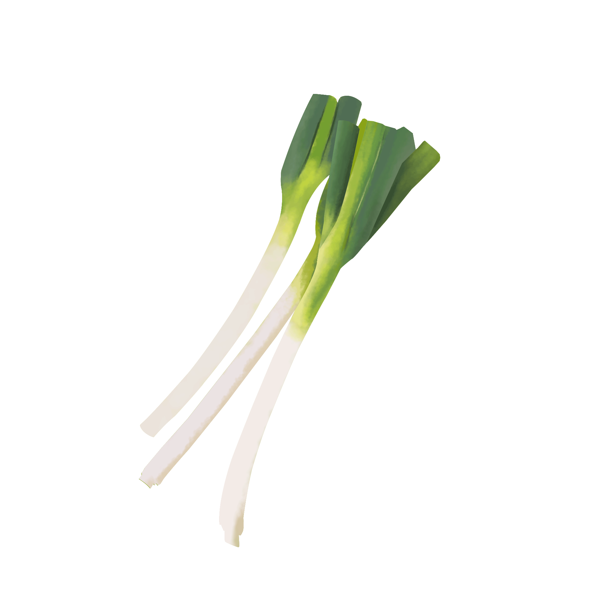 Download PNG image - Spring onions PNG Photo 