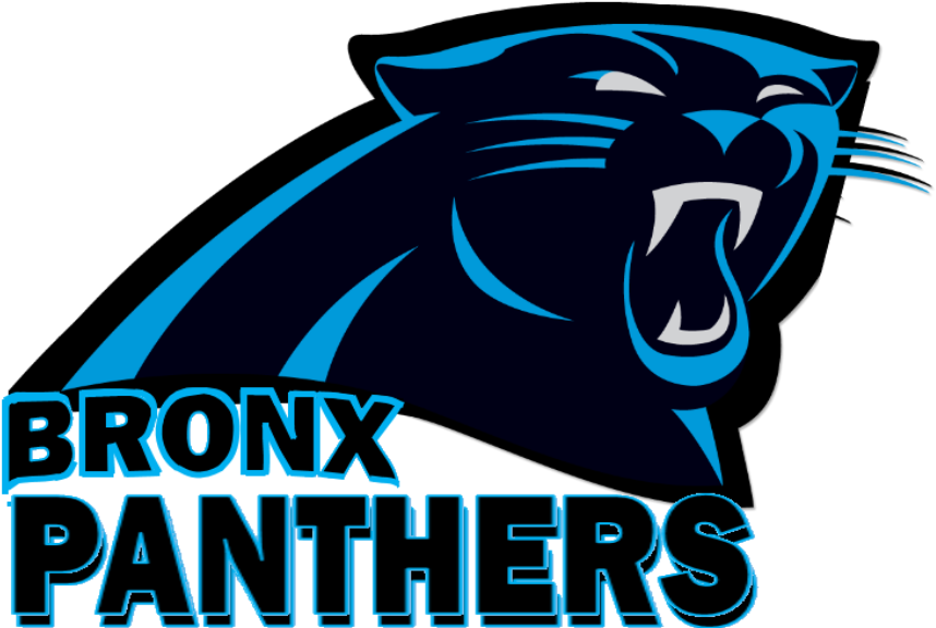 Download PNG image - Carolina Panthers PNG Image 