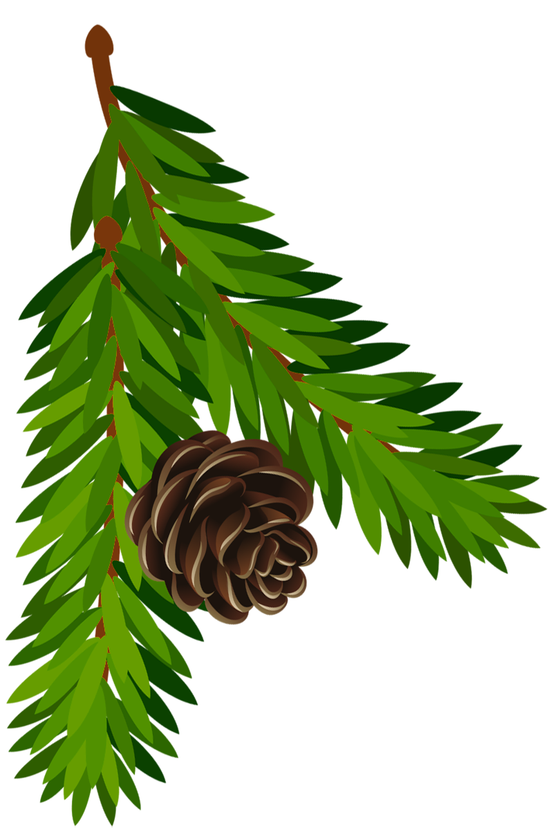 Download PNG image - Christmas Pine Cone PNG Picture 