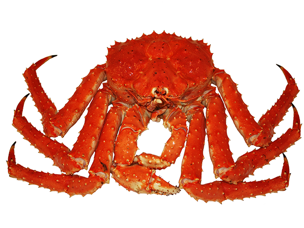 Download PNG image - Crab Spiders PNG Picture 