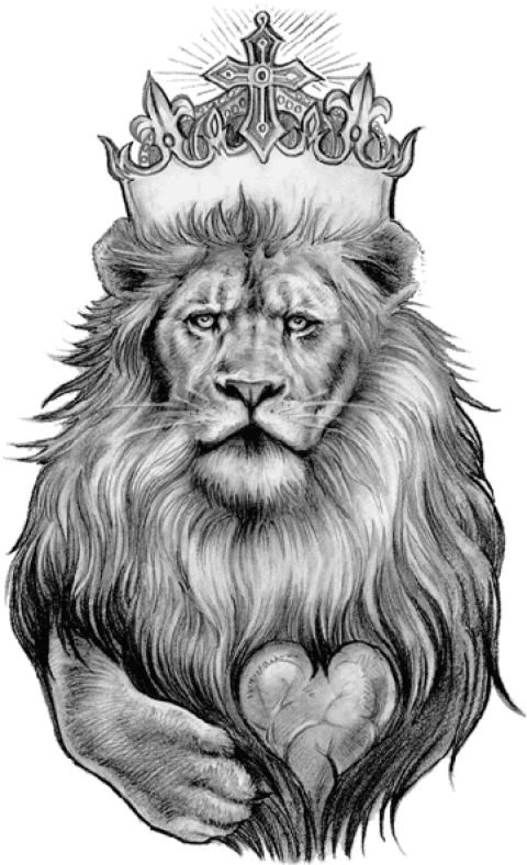 Download PNG image - Lion Drawing PNG Isolated Pic 