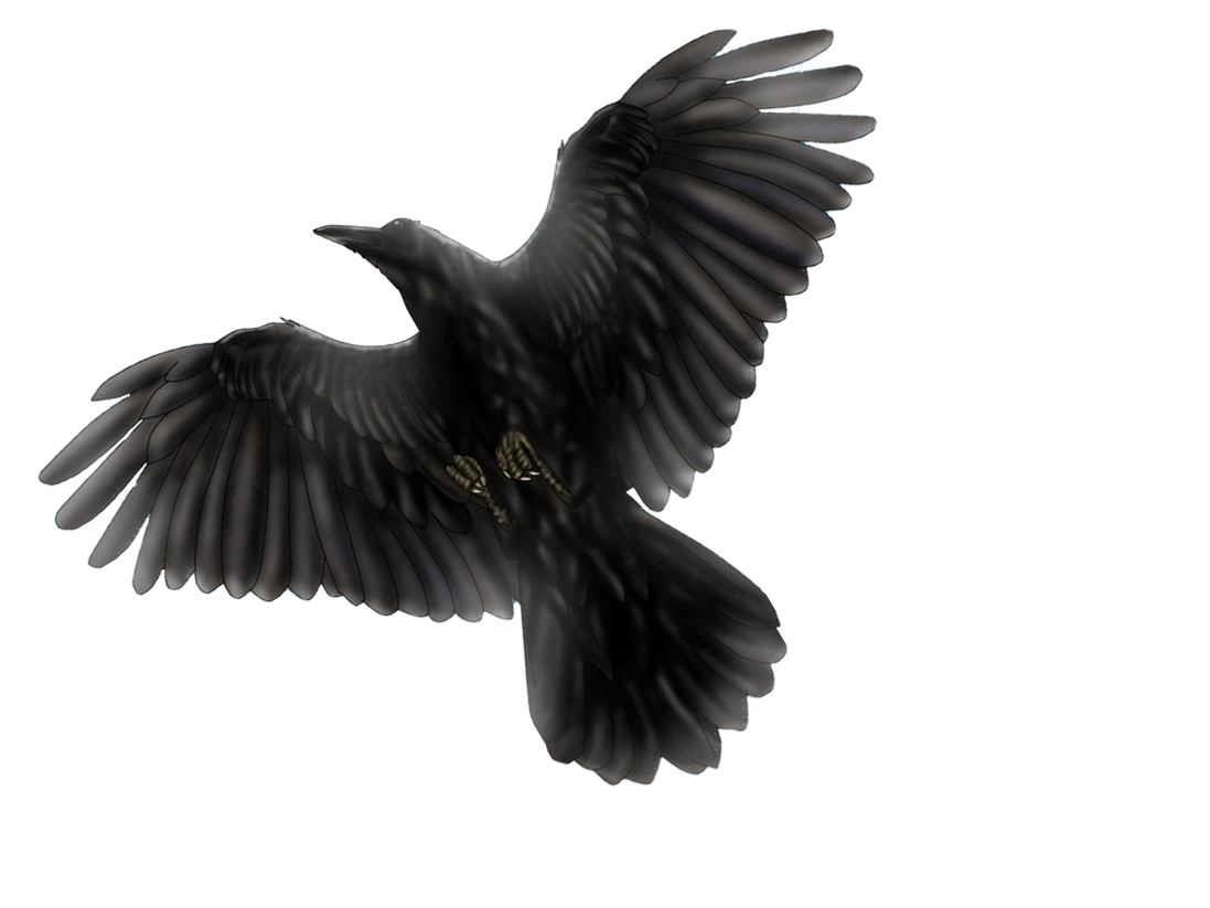 Download PNG image - Red-winged Blackbird PNG Isolated Photo 