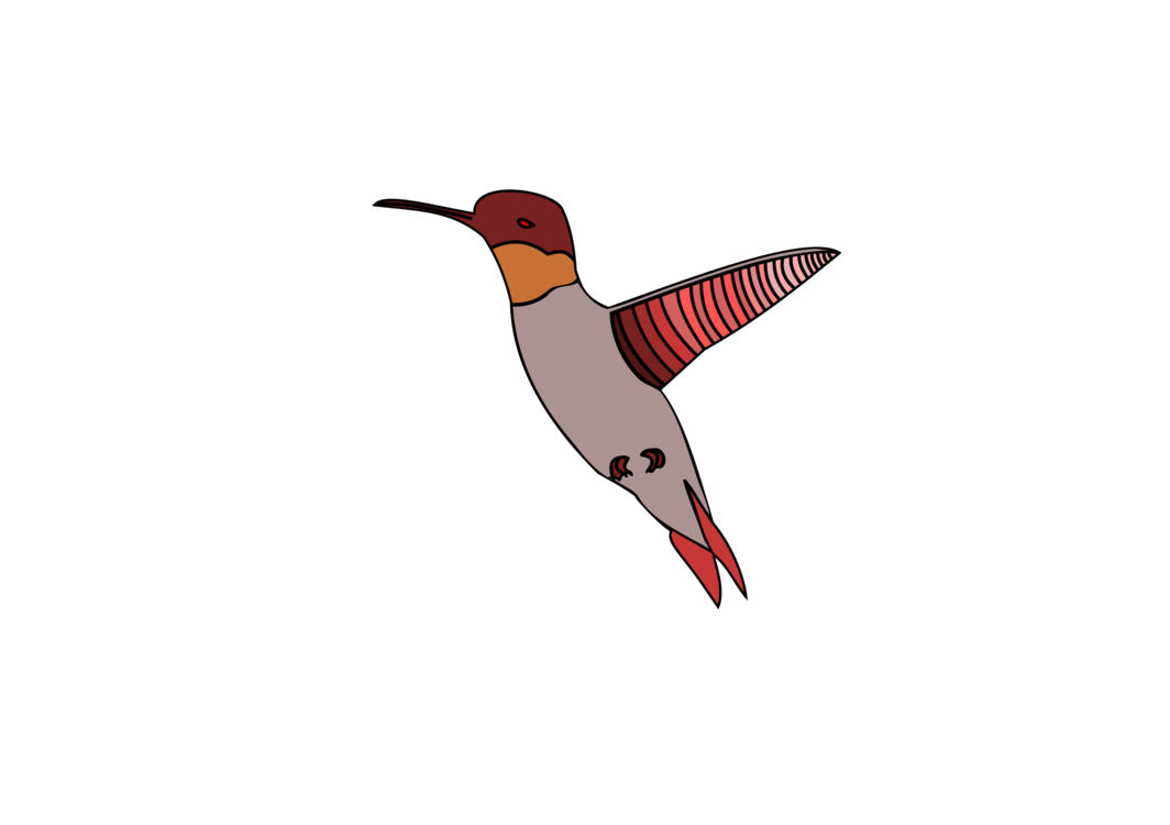 Download PNG image - Vector Watercolor Hummingbird PNG Clipart 