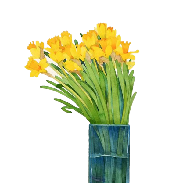 Download PNG image - Yellow Daffodil PNG Transparent 