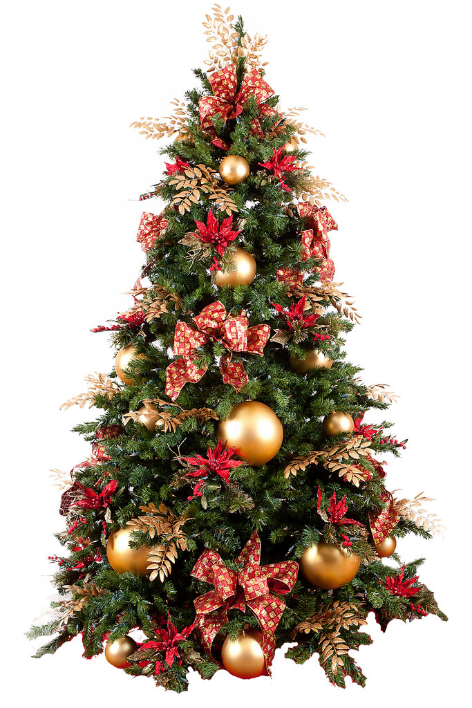 Download PNG image - Christmas Tree PNG 