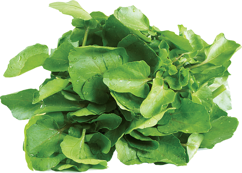 Download PNG image - Organic Green Spinach PNG Image 