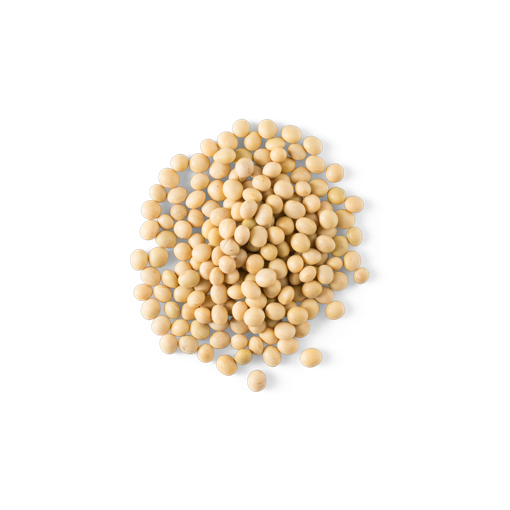 Download PNG image - Soybeans PNG Isolated File 