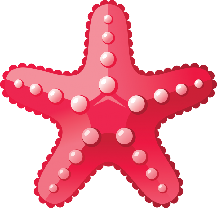 Download PNG image - Starfish PNG Background Image 