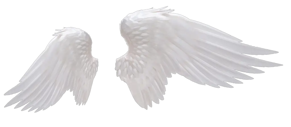 Angel Wings Template Outline Png