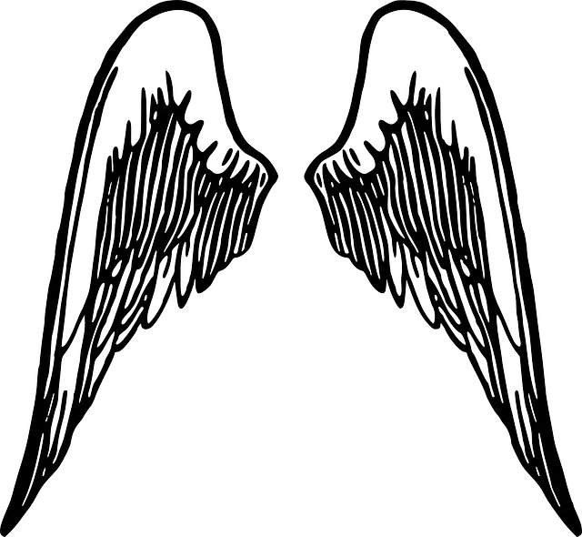 Angel Wing Logo Png
