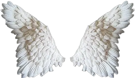 Abstract Angel Wings Png