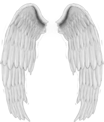 Simple Angel Wings Png