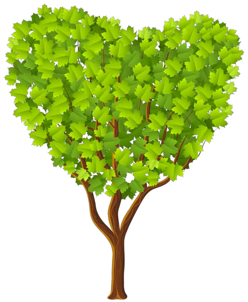 Plant Tree Png