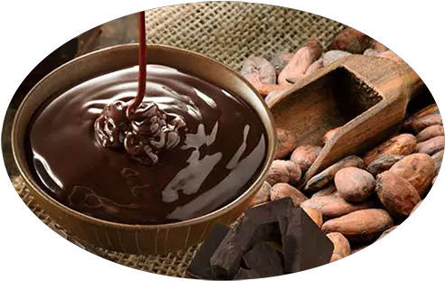 Cacao Coco Meaning In Hindi Png Cacao Png