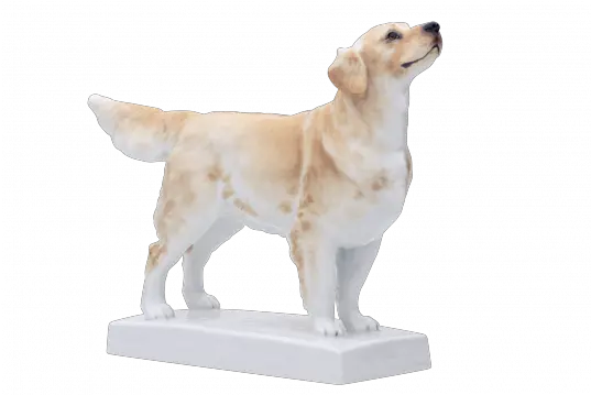 Meissen Single Figurine Golden Retriever Labrador Retriever Png Golden Retriever Transparent