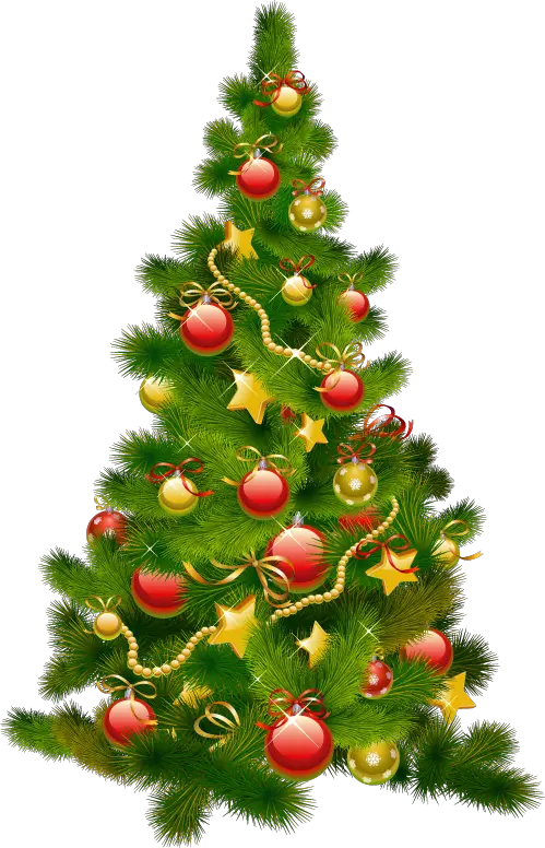 Outdoor Christmas Tree Png