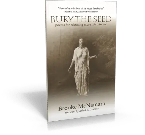 Bury The Seed Brooke Mcnamara Book Cover Png Katherine Mcnamara Png