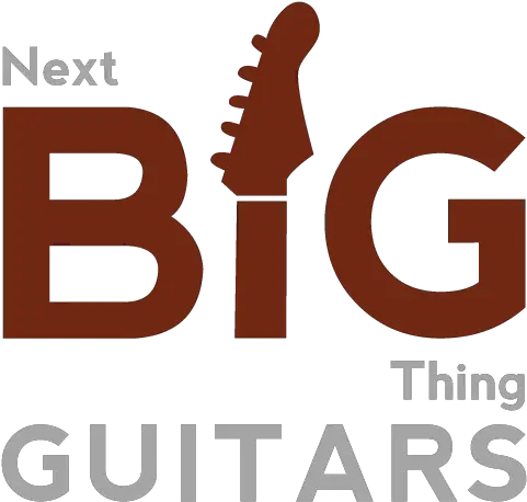 Jackson Usa Jj1 Scott Ian Autographed U2014 Next Big Thing Guitars Png Logo