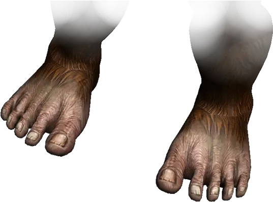 Big Toe Png Transparent Toepng Images Pluspng Big Transparent Big Toe Png Sasquatch Png