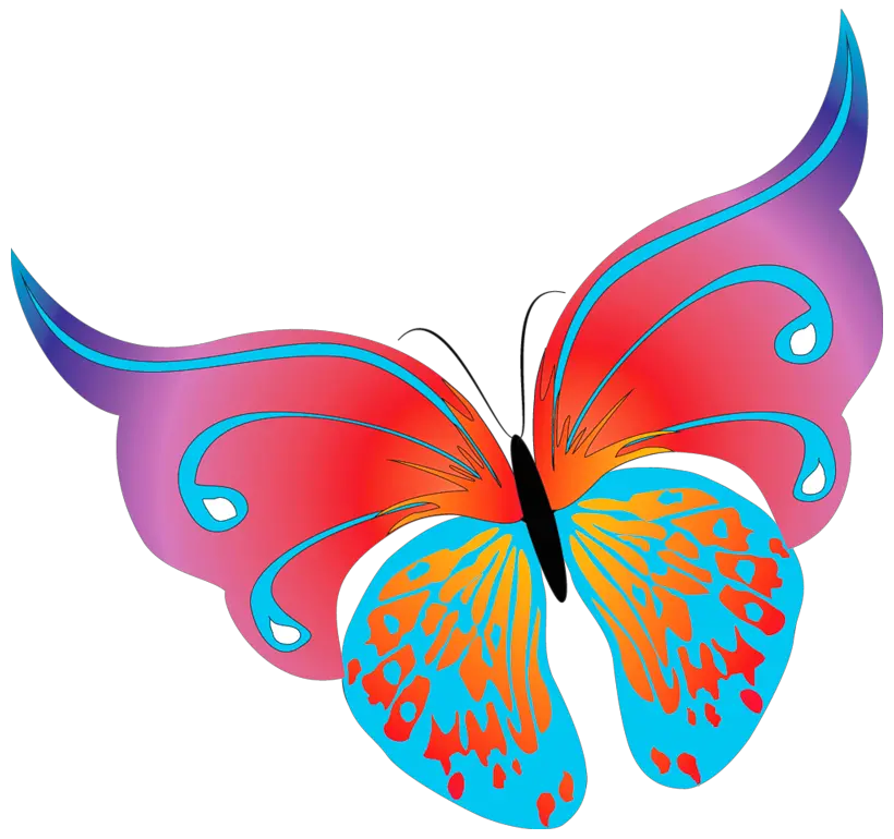 Butterfly Overlay Png