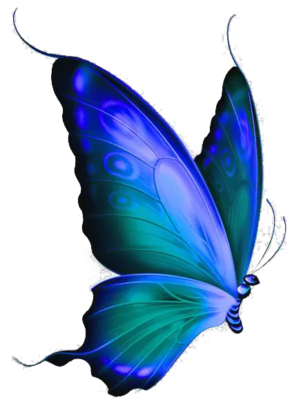 Watercolor Butterfly Png