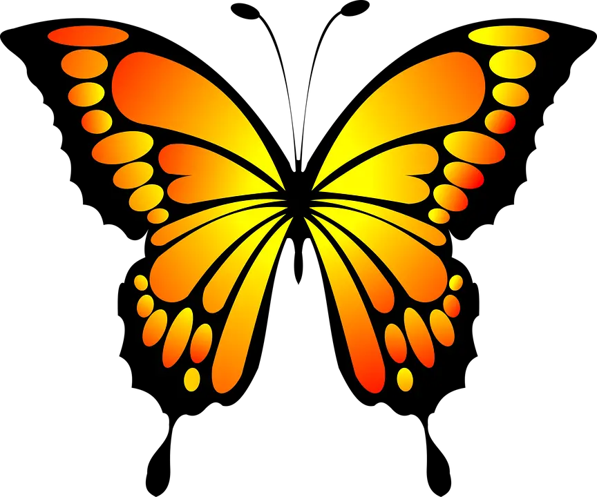 Blue Butterfly Png Transparent