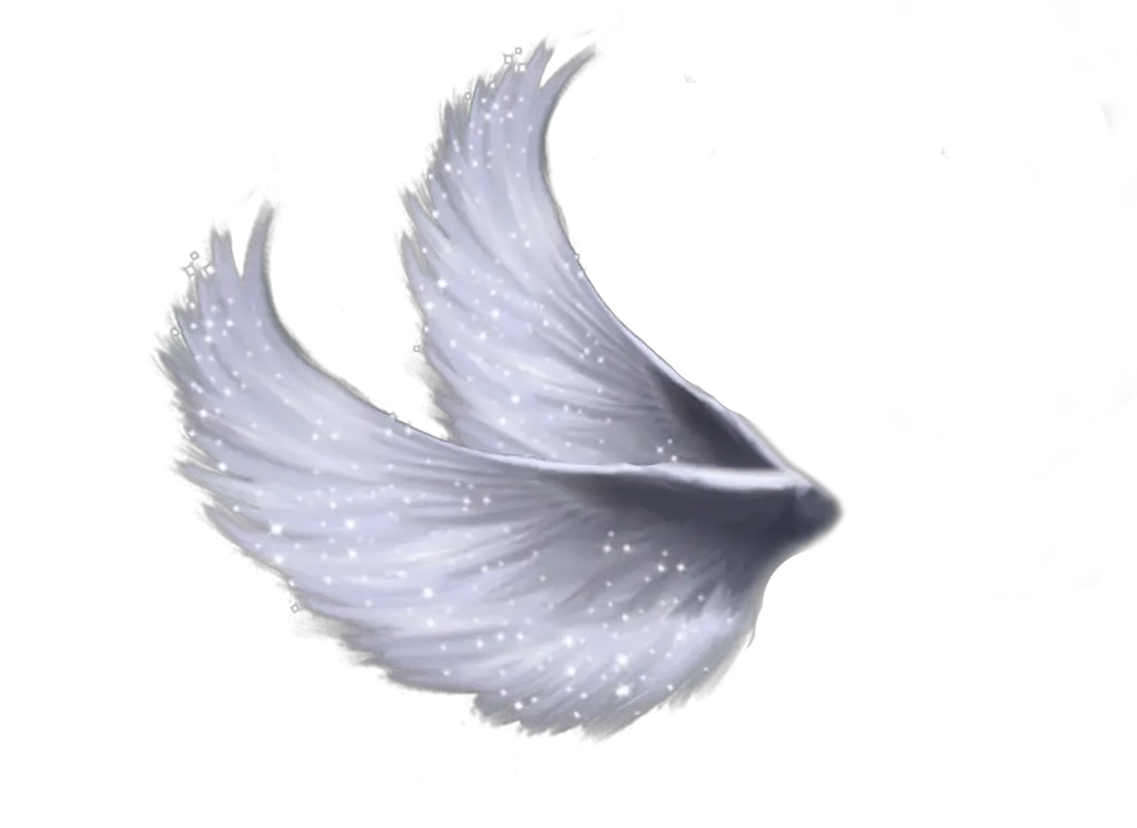 Kawaii Angel Wings Png